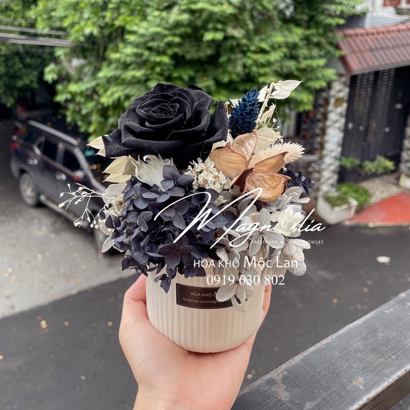 Chậu hoa hồng vĩnh cửu tone Tây trang trí nhà cửa, chụp ảnh sản phẩm sang trọng