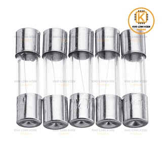 Bộ 5 cầu chì ống 6x30MM 250V đủ loại ( Cầu chì thủy tinh)