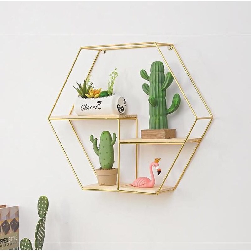 Kệ treo tường thép không gỉ, sơn tĩnh điện TẶNG KÈM DÂY ĐÈN