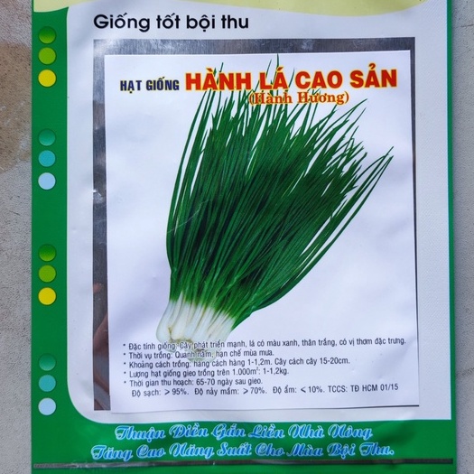 Hạt Giống Hành Lá Cao Sản (Hành Hương)