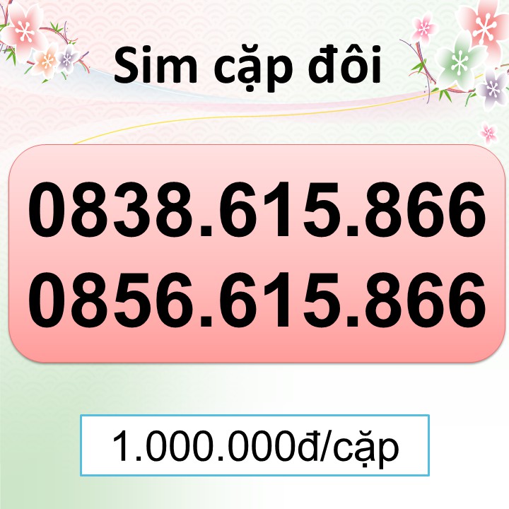 Sim cặp đôi sim tình nhân