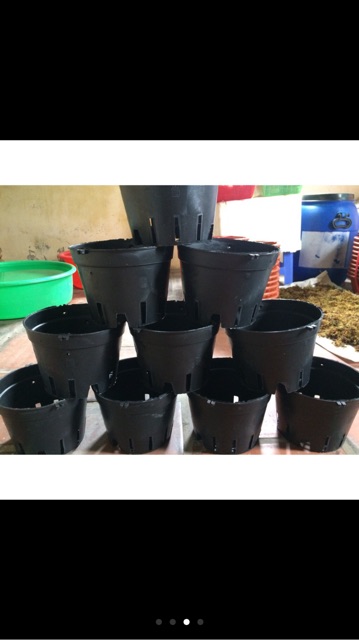 5 chậu nhựa trồng Lan, ươm ki phi 16