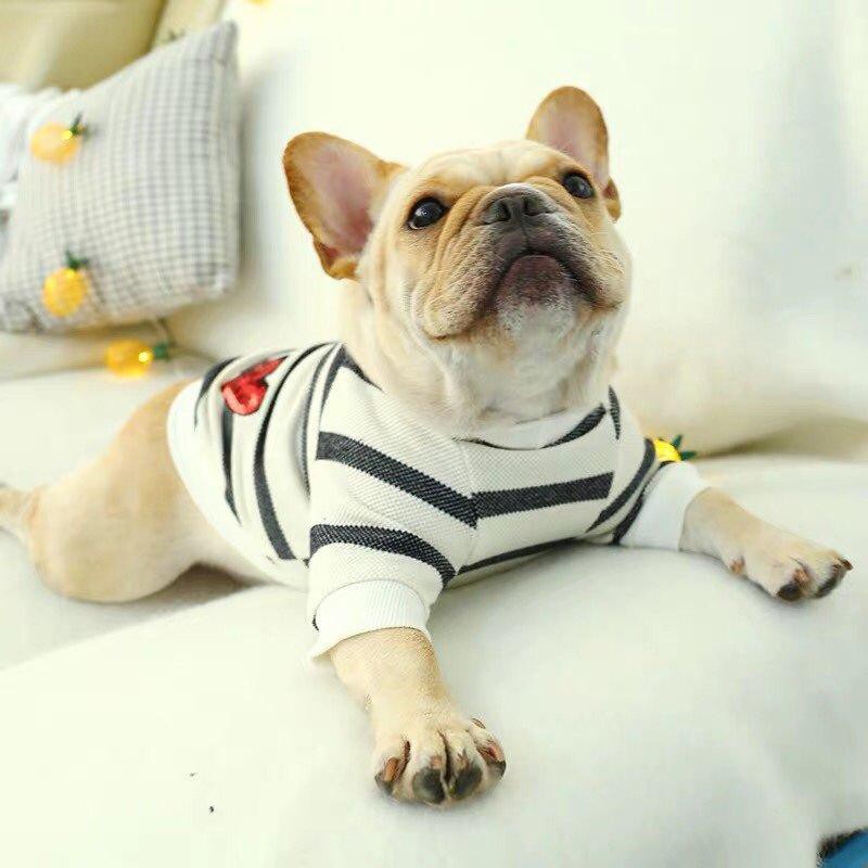 ✌✣Fadou Pug chó con nhỏ Quần áo bông Teddy Sữa Mèo thú cưng Bichon mùa thu Hiromi xuân hè