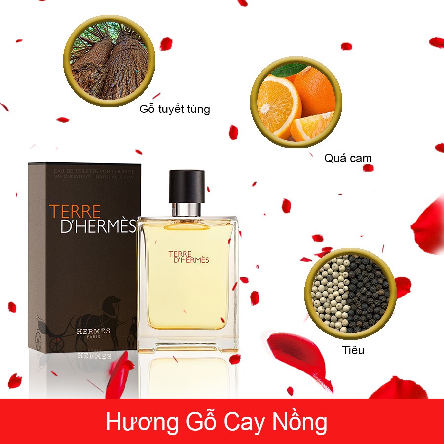 Nước Hoa Nam Hermes Terre Chai 10ml | BigBuy360 - bigbuy360.vn