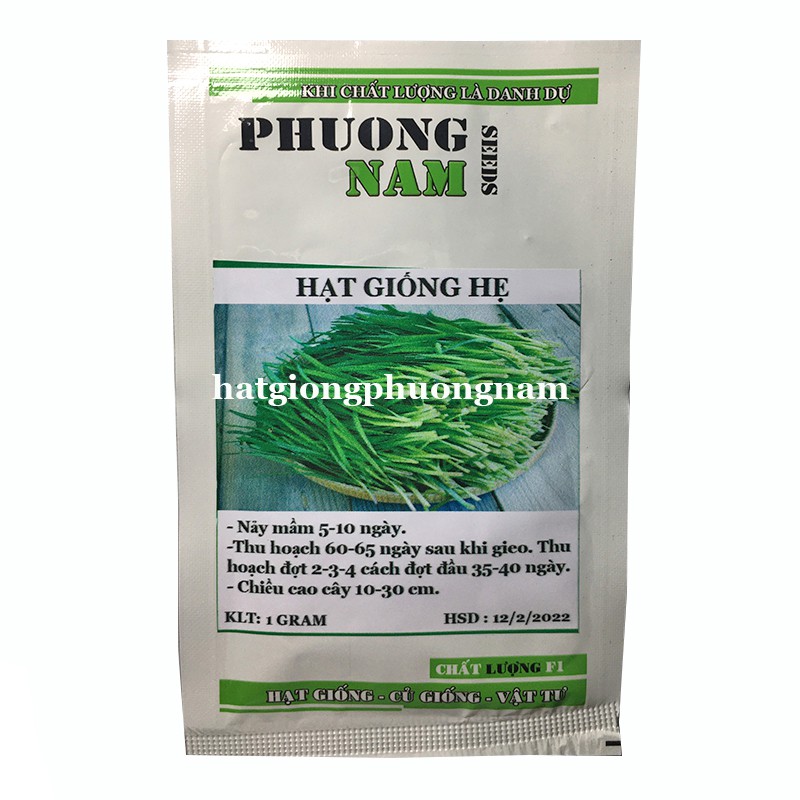 1GR - HẠT GIỐNG CÂY HẸ