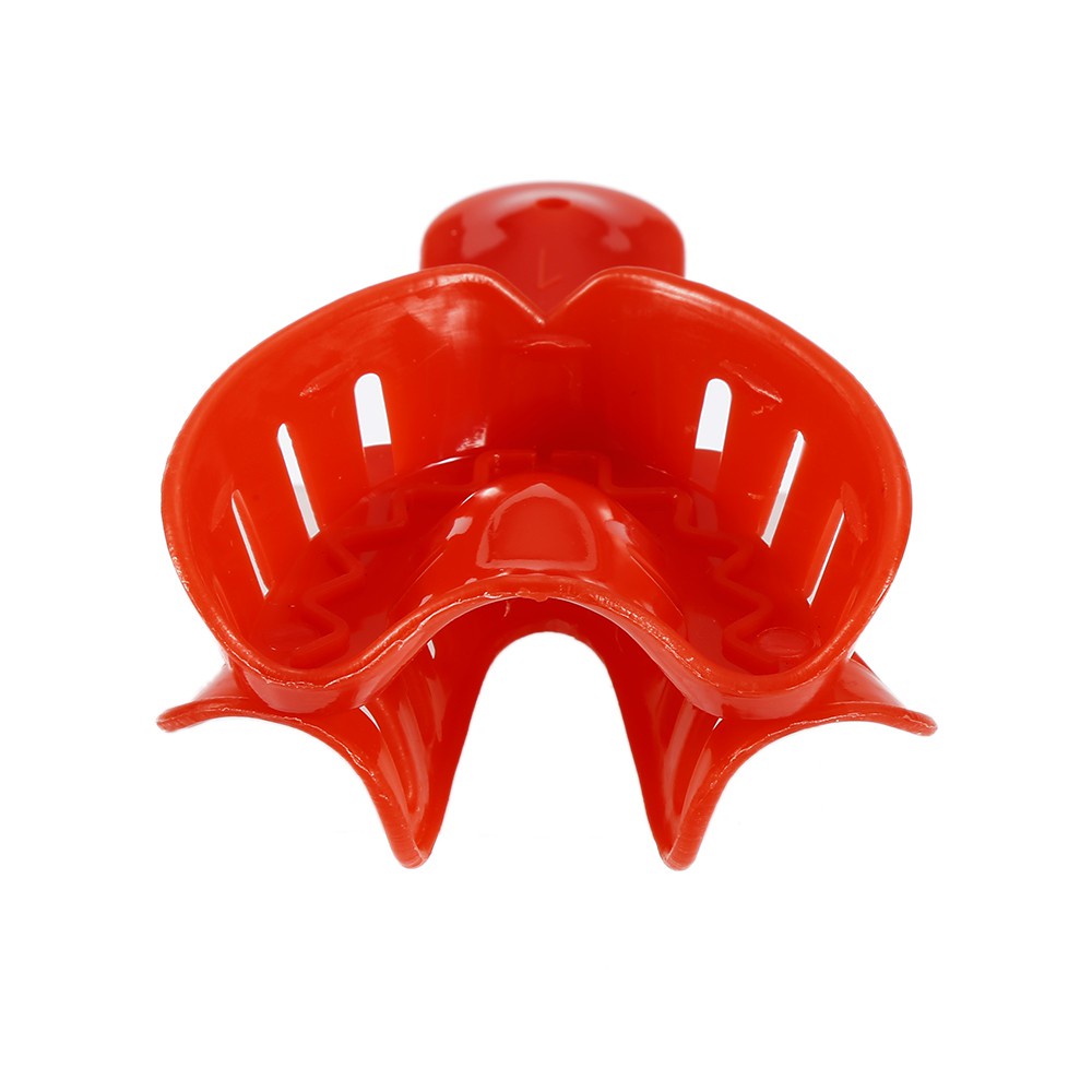 [Hàng mới về] Set 12 giá đỡ răng giả bằng nhựa dành cho người lớn và trẻ em