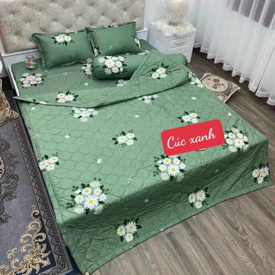 Chăn Ga Gối hè 5 món Cotton Poly