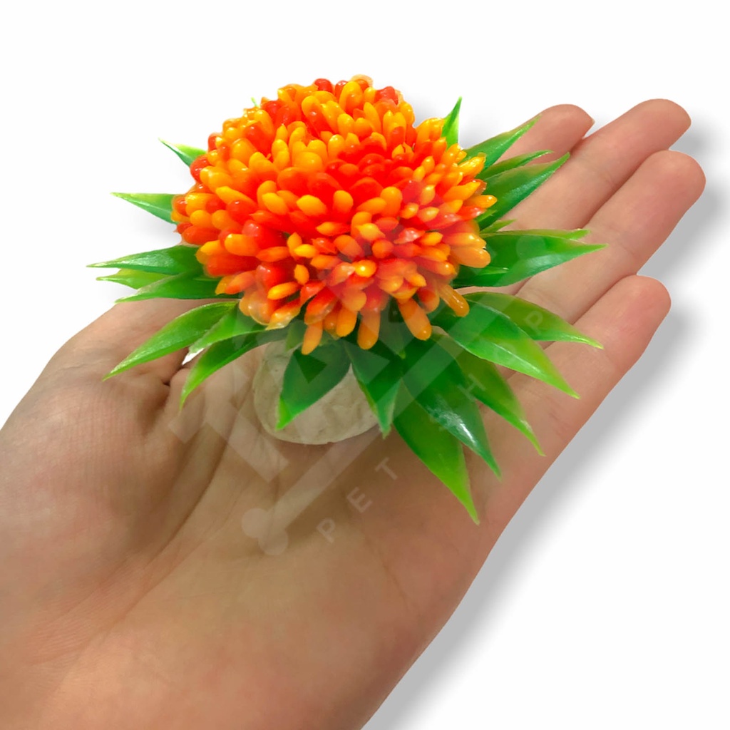 [NHẬN QUÀ KHI MUA ĐƠN 39K] Cây Nhựa Mô Hình Trang Trí Hồ Cá SIZE MINI [CÂY TRÒN MINI]