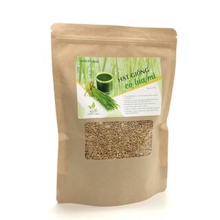 Hạt giống cỏ lúa mì 1kg (Wheatgrass)