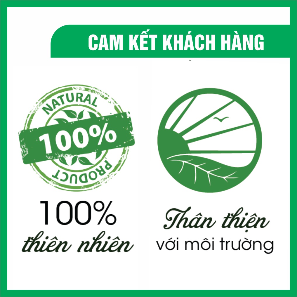Chai xịt khử mùi giày tinh chất bạc hà the mát và tràm trà an toàn cho da - Shop 5539