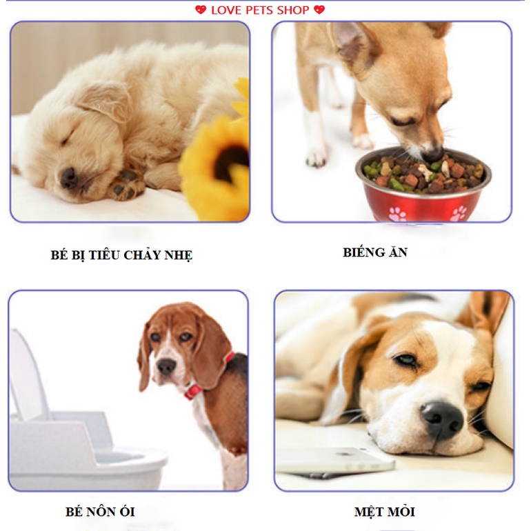 MEN TIÊU HOÁ, MEN VI SINH CHỐNG TIÊU CHẢY CẤP CHO CHÓ MÈO BORAMMY - LOVE PETS SHOP