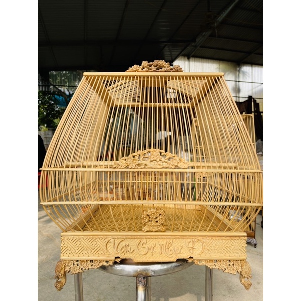 Lông chim chào mào