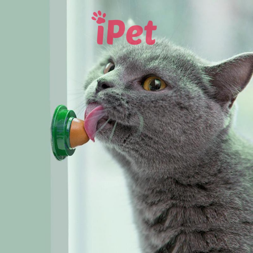 Kẹo Mút Catnip Dán Tường Tiện Lợi Cho Mèo Liếm - iPet Shop