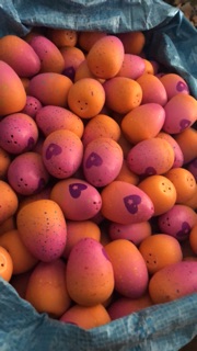 Trứng Hatchimals (cân nặng 3kg)