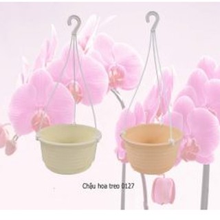 CHẬU HOA TREO 0127