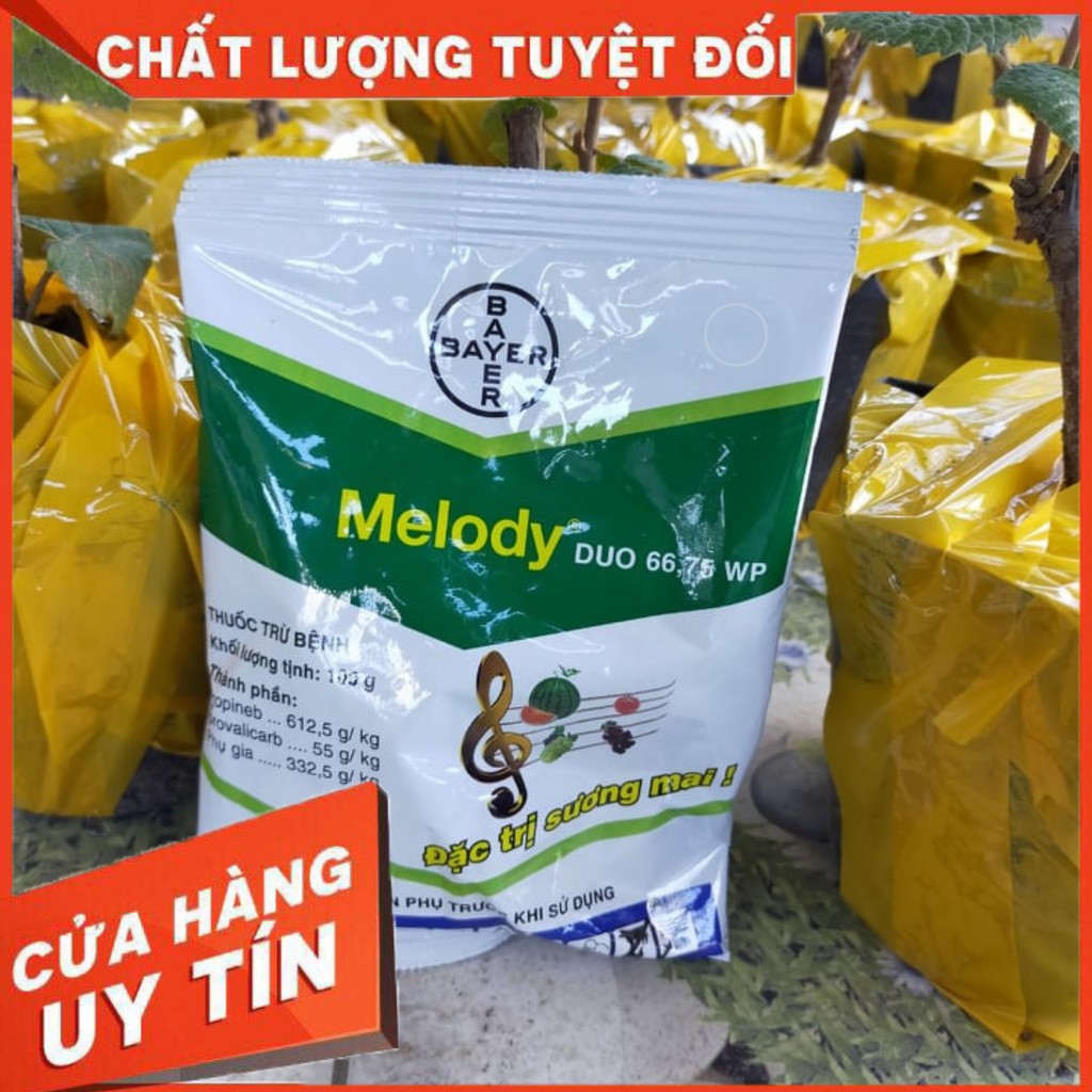 Melody Thuốc Trừ Bệnh 💖 [ Sương Mai , Thán Thư ] 100g