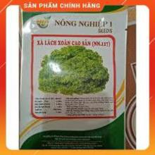 Hạt giống xà lách xoăn