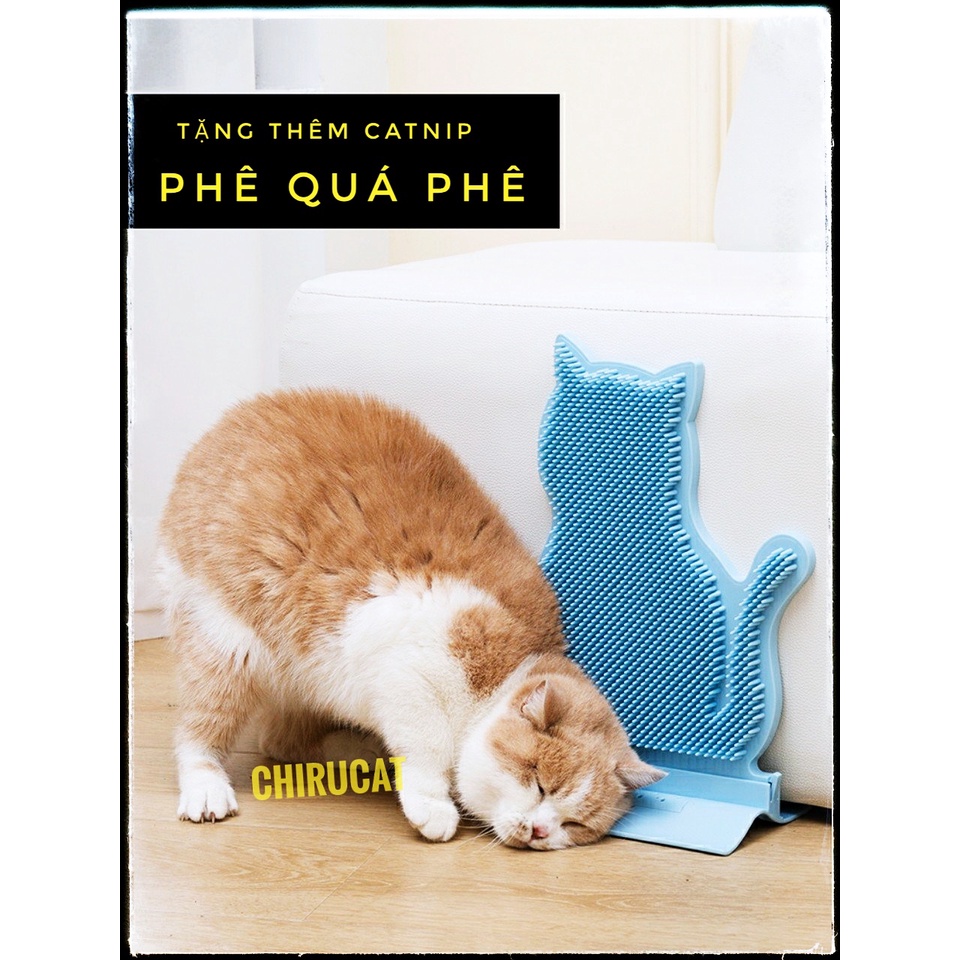 [Tặng CatNip] Bàn Cào Massage Lông Giảm Stress Mèo
