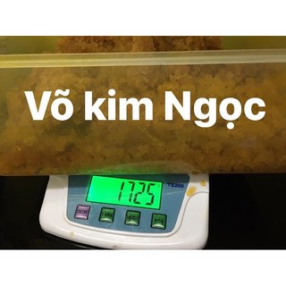 NẤM NƯỚC - WATER KEFIR