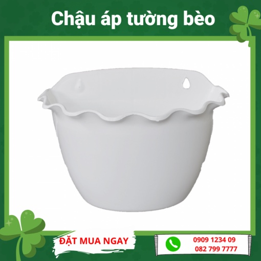 (Combo 3 cái) Chậu ốp tường bèo 230 AD màu trắng (Green City)