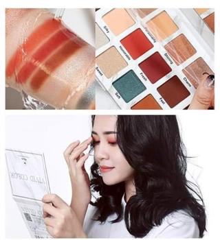 Phấn mắt 12 màu venus