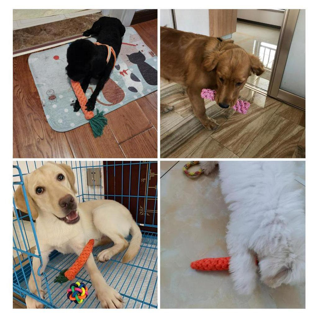 Đồ chơi nhai gặm bằng dây cotton làm sạch răng cho thú cưng vui nhộn