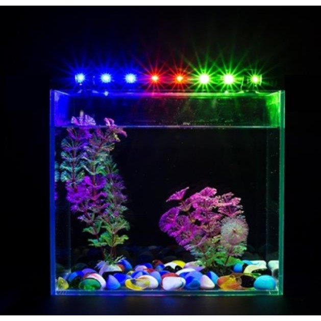 Đèn Led Chìm CAIBAO Cho Hồ Cá Kiểng Giá Rẻ
