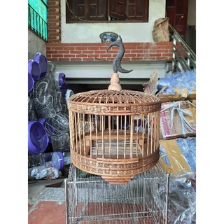 LỒNG CU GÁY BẮC GIANG