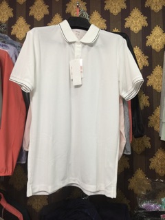 Áo polo nam