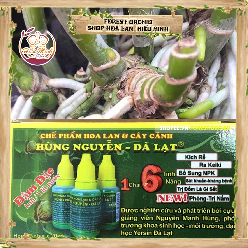 Hùng Nguyễn Chế Phẩm Sinh Học, kích KEIKI, kích Rễ, Đà Lạt cho Hoa Lan loại TỐT làm cây cảnh và hạt giống, Bền Đẹp Xanh