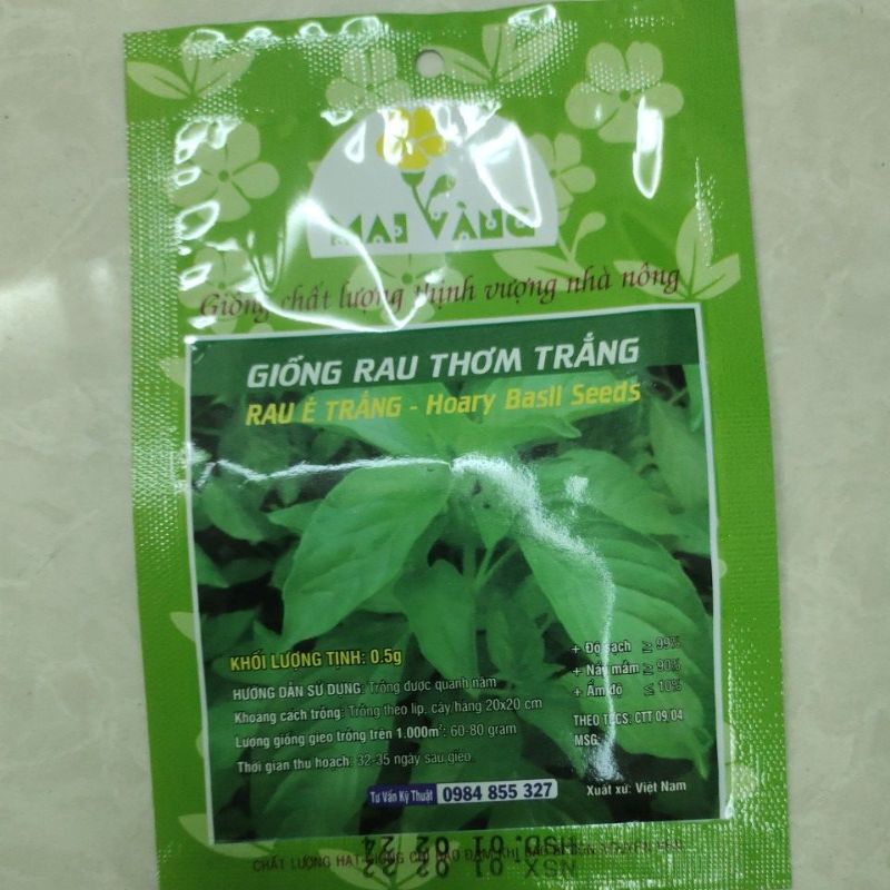Giống Rau Thơm Trắng