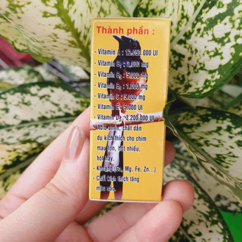 Vitamin RockeminTăng Lực Cho Chim