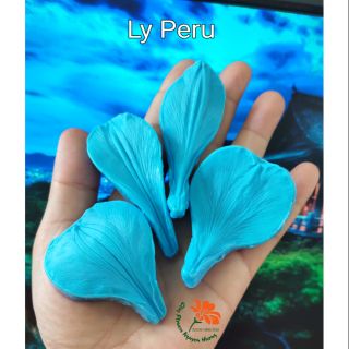 Set gân cánh hoa lyperu