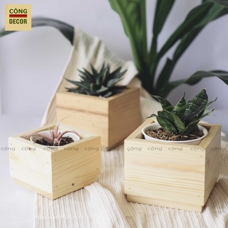 Chậu gỗ để bàn - chậu gỗ trồng sen đá CỘNG_Decor