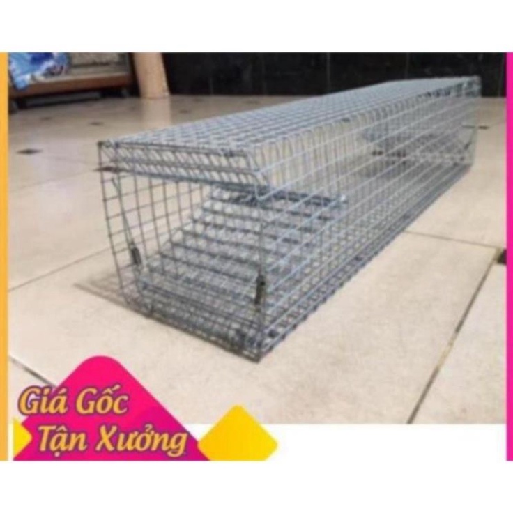 Lồng bẫy rắn giá rẻ 🐍🐍
