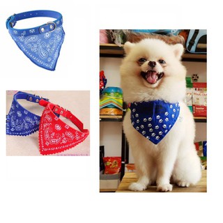 Vòng cổ yếm tam giác dành cho thú cưng