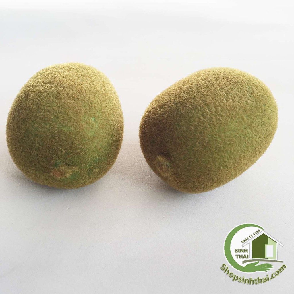 Trái kiwi giả - trái cây giả cao cấp