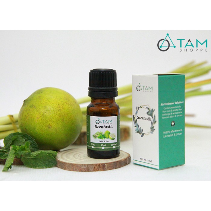 [TD ORGANIC] Bộ 3 chai tinh dầu thiên nhiên 10ml ‪SCENTASTIC kèm hộp gỗ