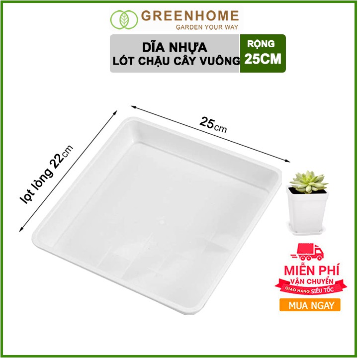 [Freeship 70K] Dĩa lót chậu R25cm trồng cây, hoa kiểng hình Vuông