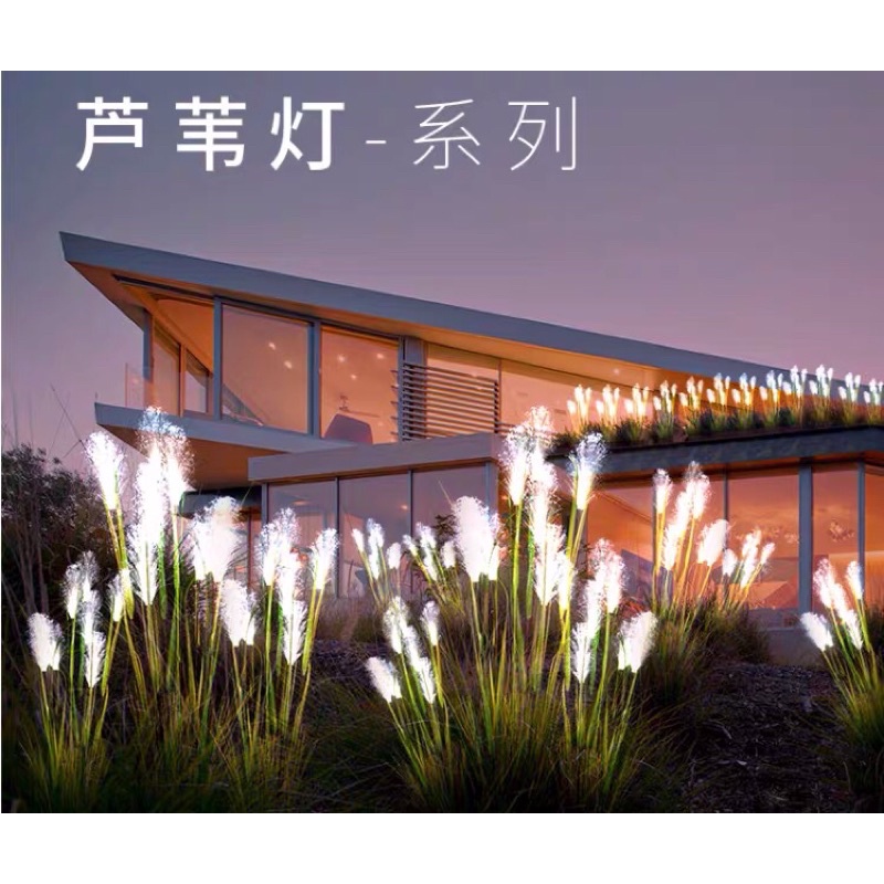 Đèn trang trí ngoài trời/bông hoa lau sáng tạo