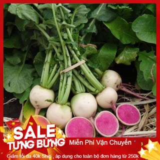 Hạt Giống Củ Cải Trắng Ruột Đỏ