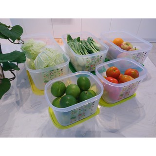 Bộ hộp trữ mát Tupperware Vensmart