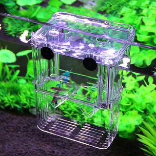Lồng Đẻ Cho Cá Cảnh Guppy - Lồng Tách Và Dưỡng Bệnh - Lồng đơn