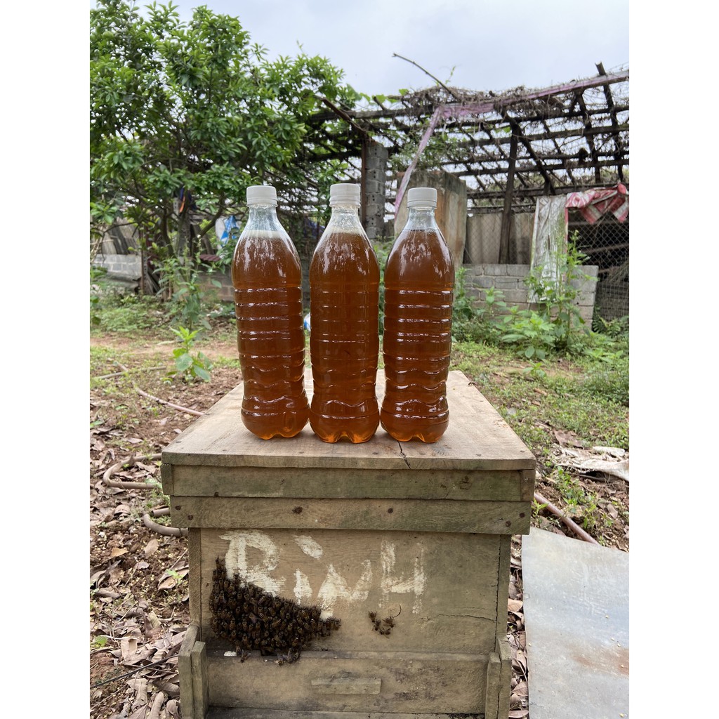 MẬT ONG HOA NHÃN 100%  NGUYÊN CHẤT CHƯƠNG MỸ HÀ NỘI CHAI 1 LIT