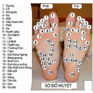 Dụng cụ massage chân gỗ-01