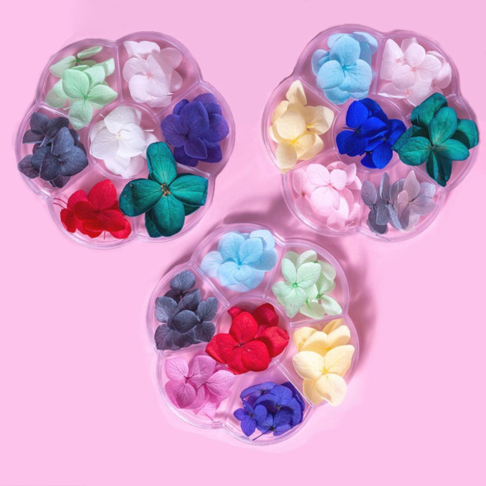 Hoa khô trang trí móng tay - Set 7 màu hoa khô nail, cánh hoa to và mỏng đắp ẩn theo phong cách Hàn Nhật H76
