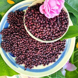 Đậu Đỏ Thuần Chủng 500gram