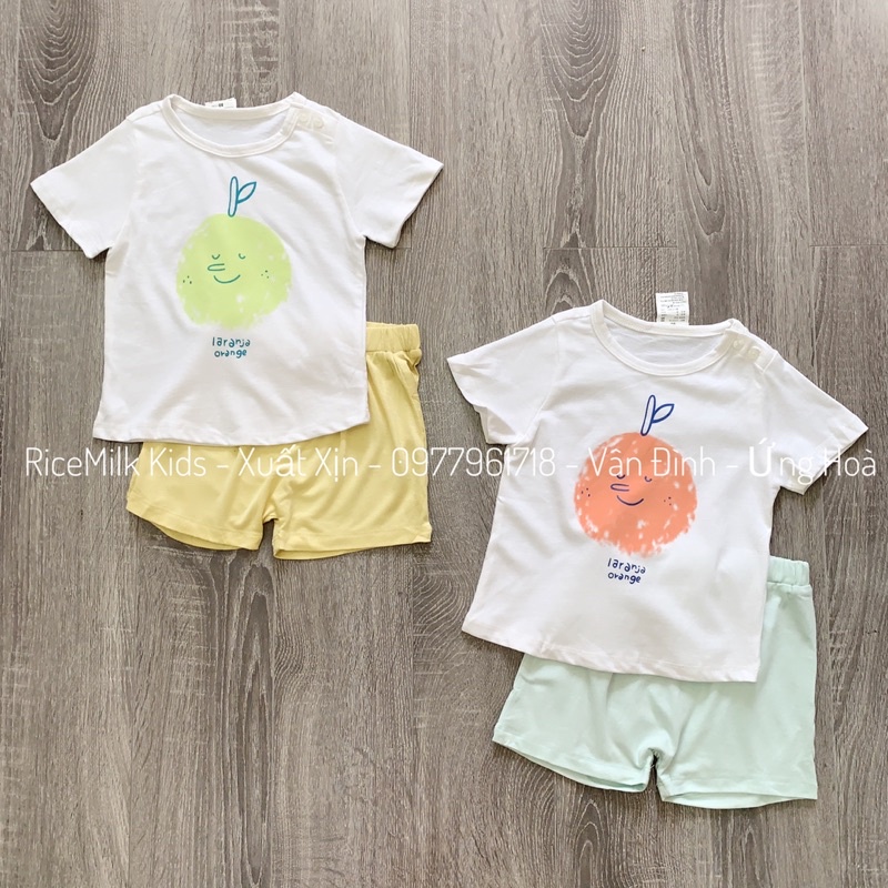 Bộ cotton cho bé trai bé gái cam xuất Hàn