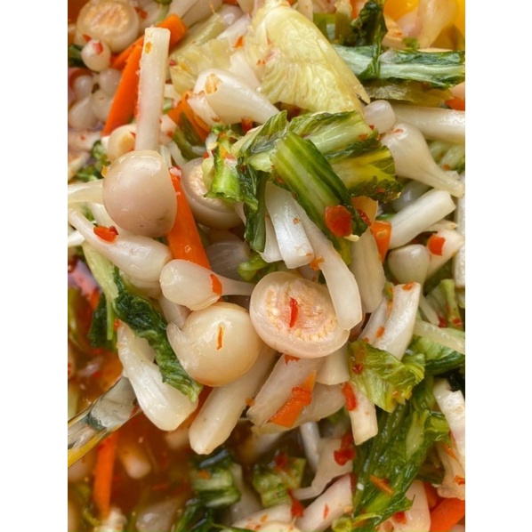 KIM CHỈ CỦ SEN - DƯA MÓN THẬP CẨM
