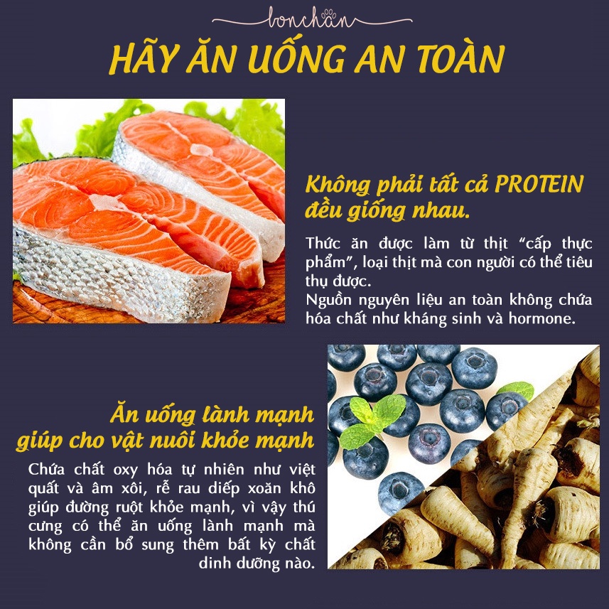 Hạt Taste of the Wild cho chó lớn túi 500g - 2kg